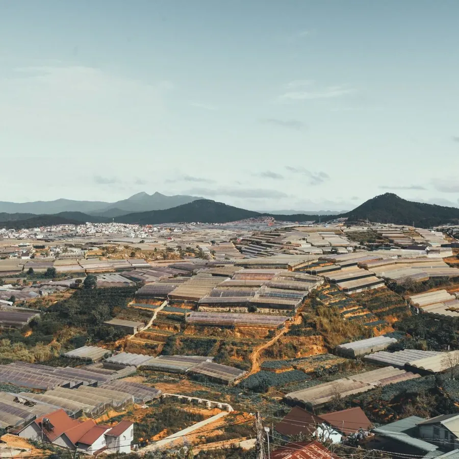 Phòng đang nhận khách